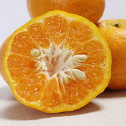 優(yōu)質(zhì)農(nóng)產(chǎn)品助力精準(zhǔn)扶貧 新鮮當(dāng)季水果與蔬菜，脆甜可口全國包郵